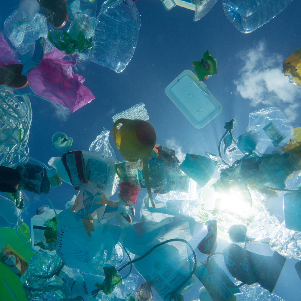 Plastic problem in oceans